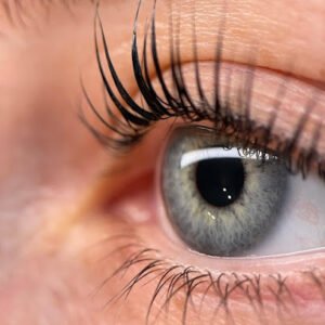 F.E lashes brows & beauty
