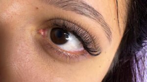 Aster Lash & Brow